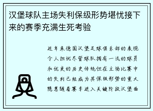汉堡球队主场失利保级形势堪忧接下来的赛季充满生死考验